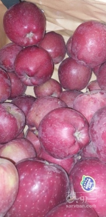 فروش سیب قرمز