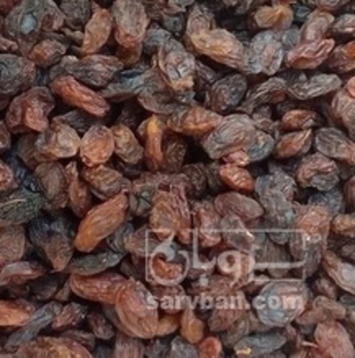 فروش مویز با هسته