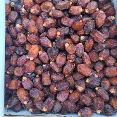 فروش خرما خاصویی