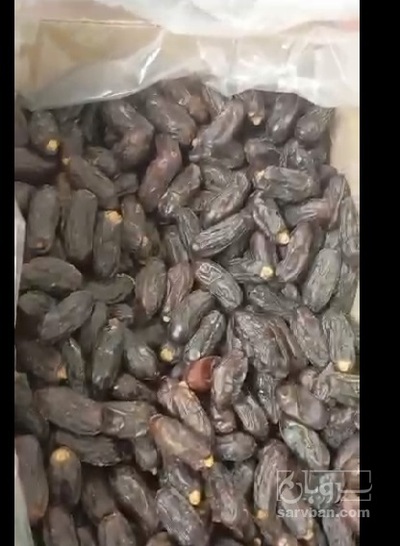 فروش خرما پیارم