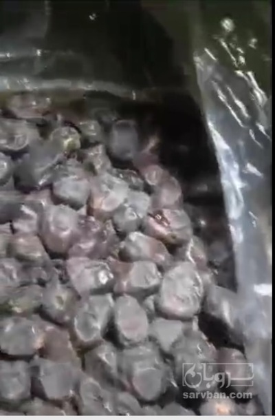 فروش خرما مضافتی