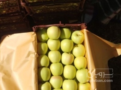 فروش سیب زرد