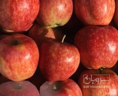 فروش سیب قرمز