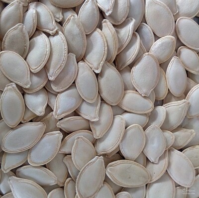 فروش تخمه  کدو