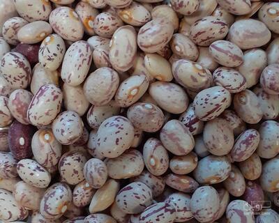 فروش لوبیا چیتی