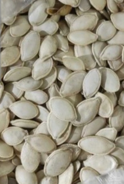 فروش تخمه ژاپنی خام