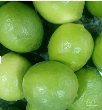 فروش لیموترش