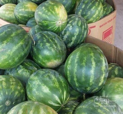 فروش هندوانه