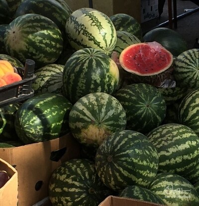 فروش هندوانه