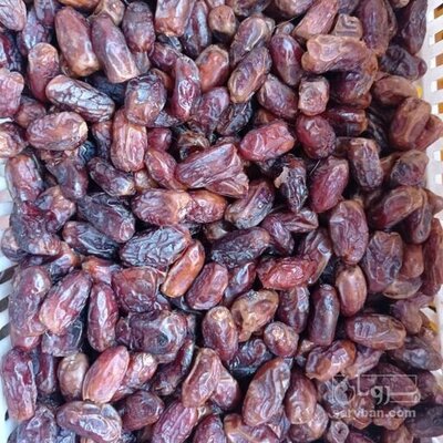 فروش خرما