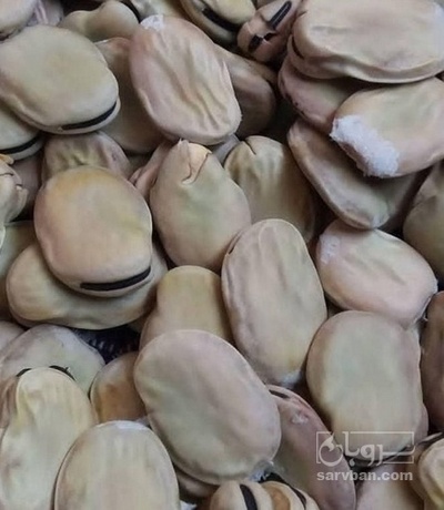 فروش باقلا تازه - باقالی - باقالا