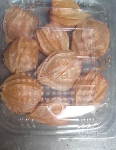 فروش فیسالیس - میوه