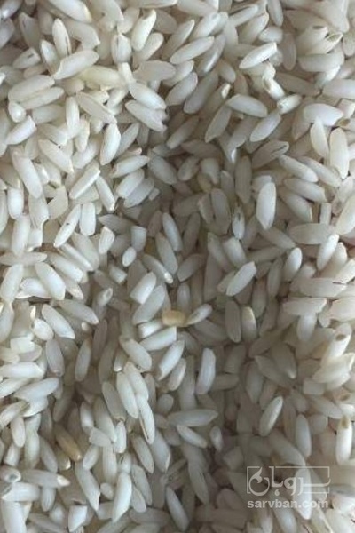 فروش برنج عنبر بو