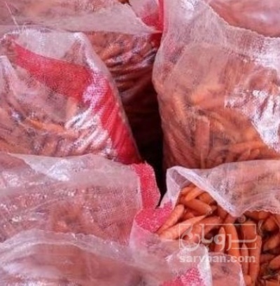 فروش هویج خوراک دام