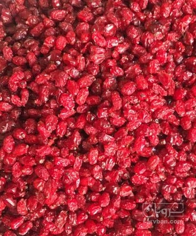 فروش زرشک زیرتالاری
