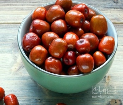 فروش عناب