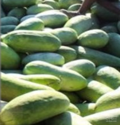 فروش هندوانه