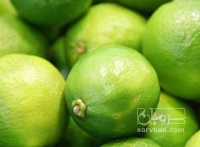 فروش لیموترش