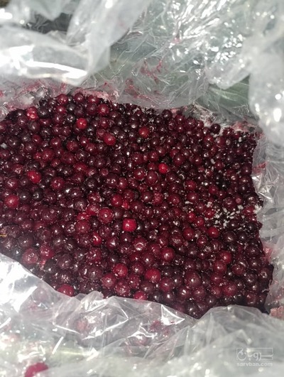 فروش آلبالو فریز شده باهسته