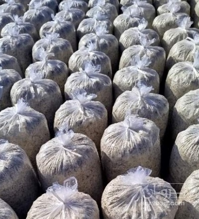 فروش تفاله چغندر قندتر