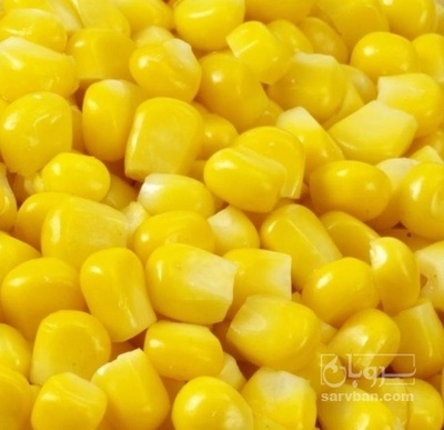 فروش ذرت منجمد