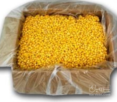فروش ذرت منجمد