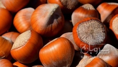 فروش فندق