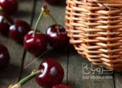 فروش گیلاس