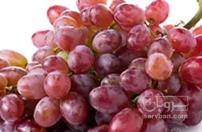 فروش انگور کندری