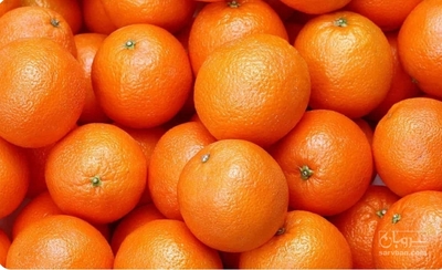 فروش پرتقال والنسیا