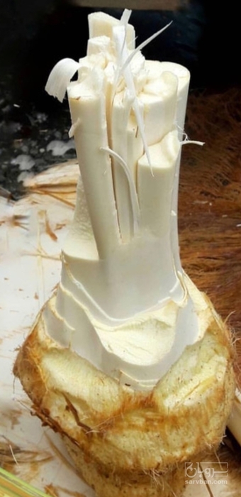 فروش خرماپنیری