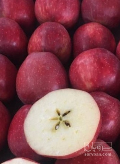 فروش سیب قرمز