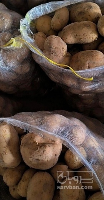 فروش سیب زمینی جلی