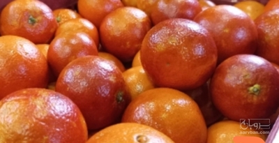 فروش پرتقال خونی