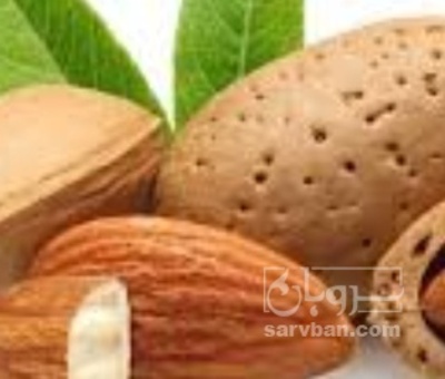 فروش بادام