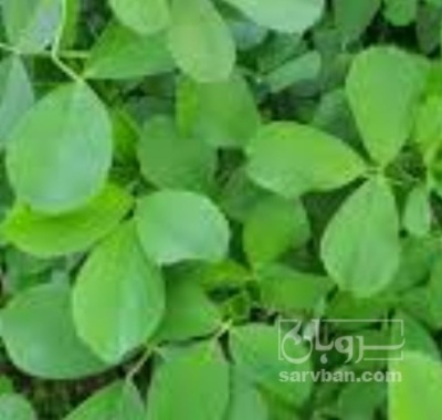 فروش یونجه