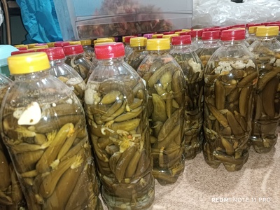 فروش خیار شور سوپر ویژه