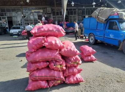 بارفروشی و حق العمل کاری دلیر بابایی