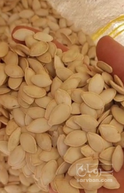 فروش تخمه  کدو بو داده