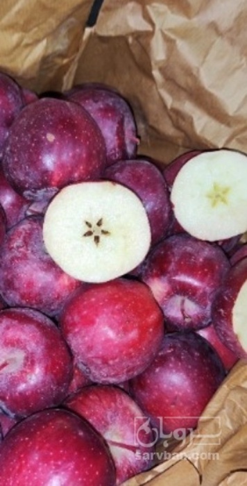 فروش سیب قرمز