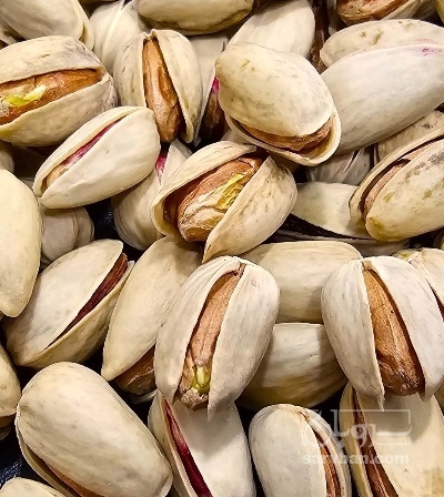 فروش پسته اکبری