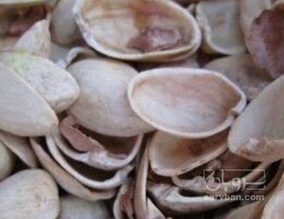 فروش پوست پسته (گیاه‌ دارویی)