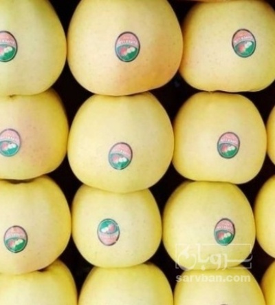 فروش سیب زرد