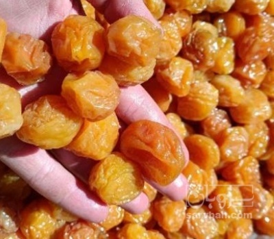 فروش آلو سیدی