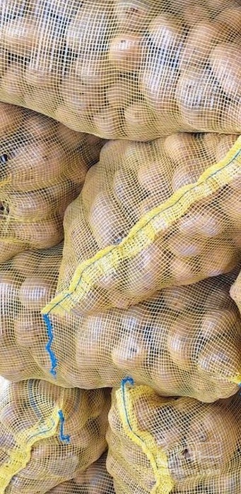 فروش سیب زمینی