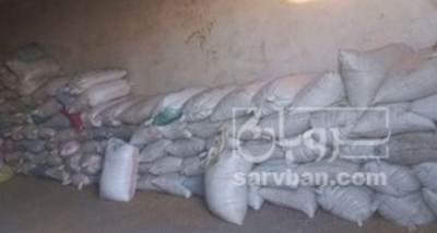 فروش کتان (گیاه الیافی)