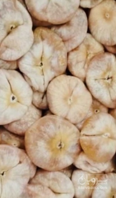 فروش انجیر خشک