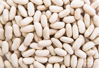 فروش لوبیا سفید