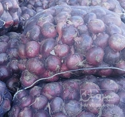 فروش پیاز قرمز