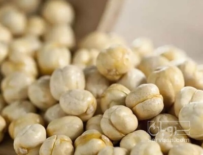 فروش نخود چی خام